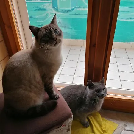 Il Giardinetto Frühstückspension Alghero