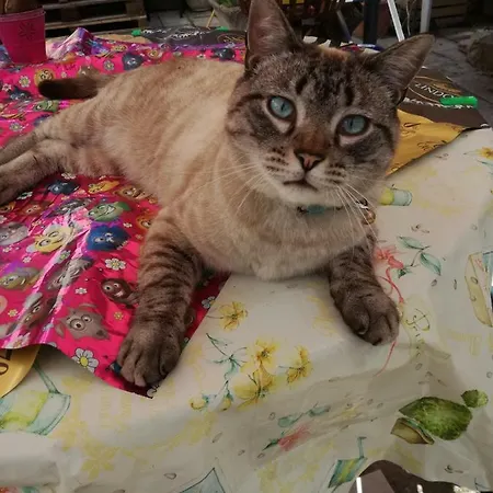 Il Giardinetto Alghero