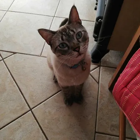 Il Giardinetto Couette-café