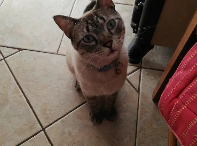 Il Giardinetto Panzió